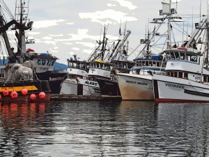 Fischfang-Flotte Alaska